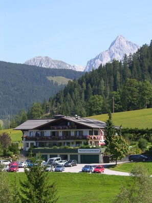 Eksteriør