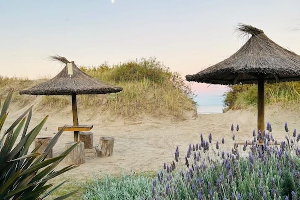 Two thatched-roof beach umbrellas, a sandy beach, and purple flowers in the foreground.