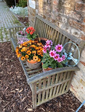 Jardines del alojamiento