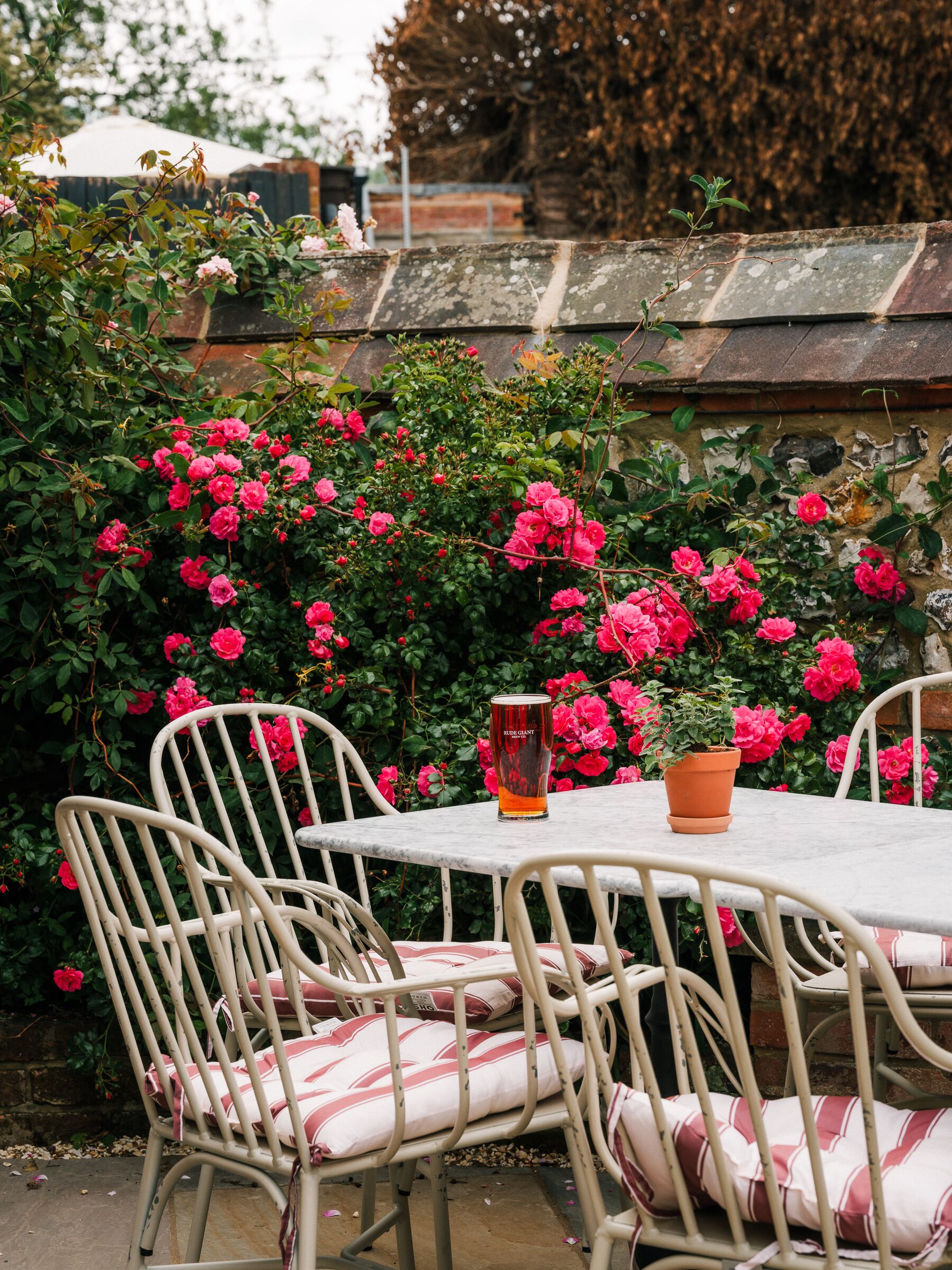 A table with chairs, a glass of beer, and a potted plant.