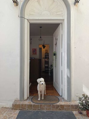 Exterior detail - Casa Tribu (Viña del Mar)