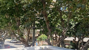 An outdoor seating area with wooden benches and cushions, surrounded by trees and a patterned floor.