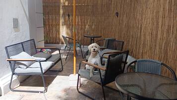 Opções para refeição ao ar livre