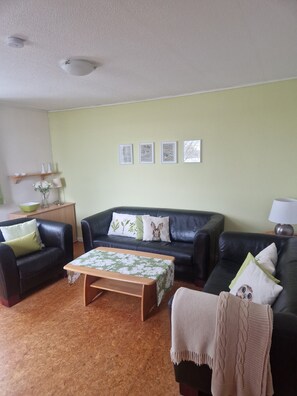 Tv, ett bordtennisbord och en stereo