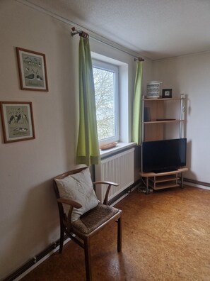 Tv, ett bordtennisbord och en stereo