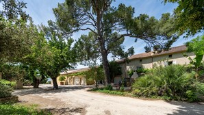 A rustic building with a dirt driveway, surrounded by trees and greenery. - Gite le Bananier – 6 guests (Jonquières)