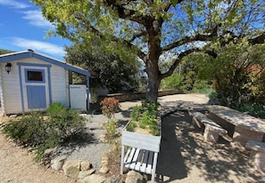 テラス / パティオ