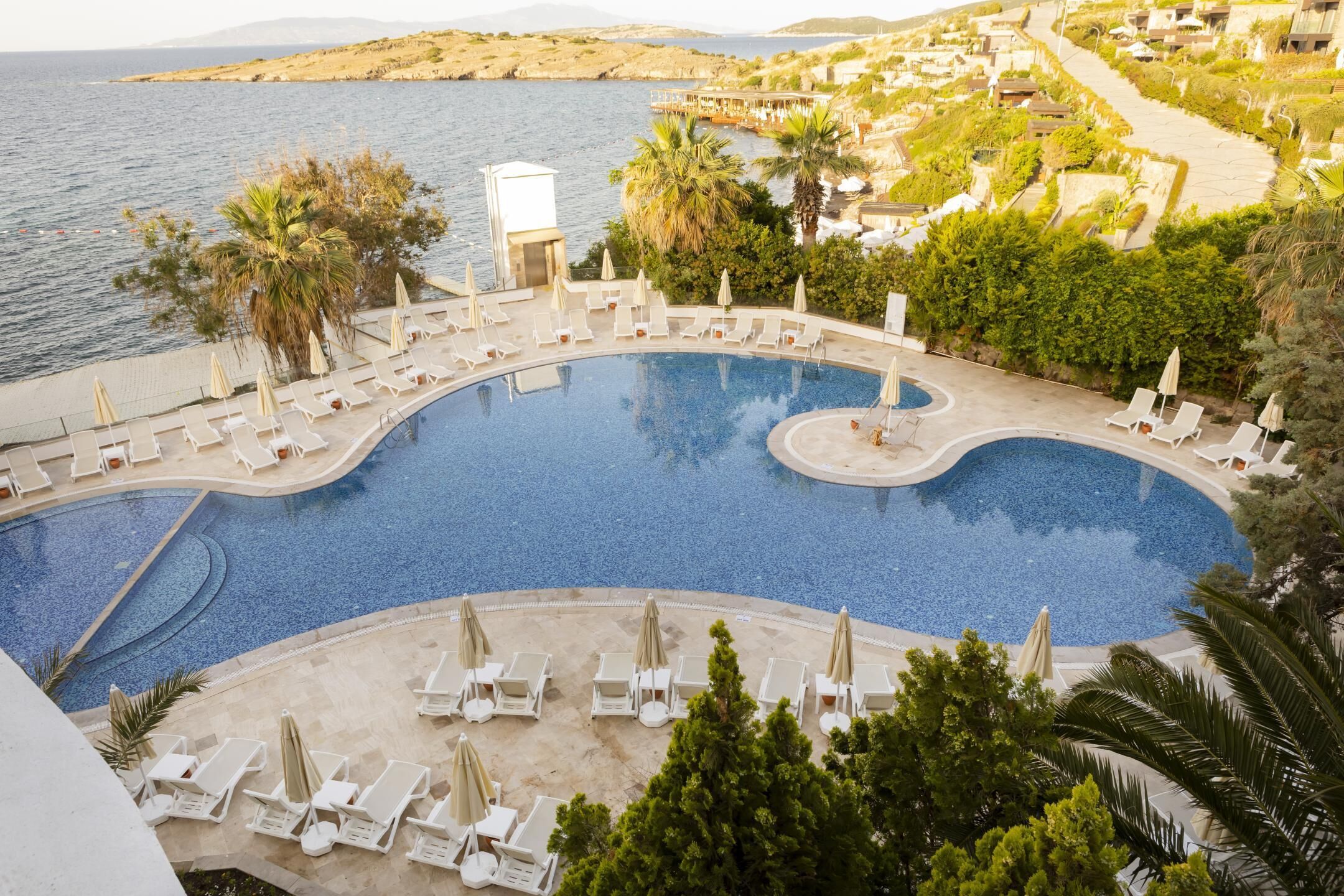 Piscina con sillas de descanso y sombrillas, rodeada de vegetación y vista al mar.