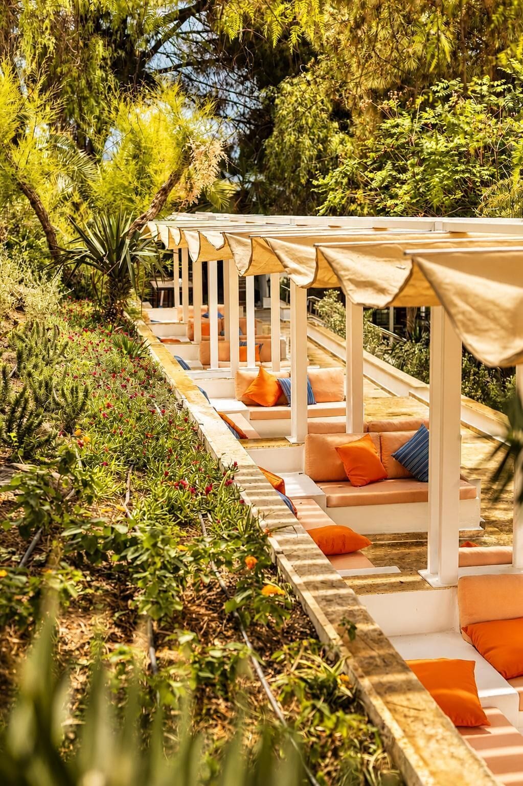 A row of outdoor lounge chairs with umbrellas, surrounded by lush greenery.