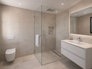 Shower, towels, soap, toilet paper