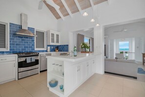 Fridge, microwave, oven, stovetop - Charming Villa 360° with Ocean Views + Hot Tub (Providenciales)