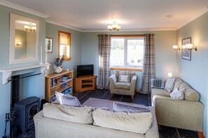 Smart TV, fireplace, books