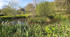 Property grounds - Cottage - Sleeps 2 - River Lynher Walks & Fishing (Callington)