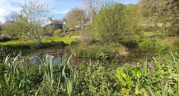 Property grounds - Cottage - Sleeps 2 - River Lynher Walks & Fishing (Callington)