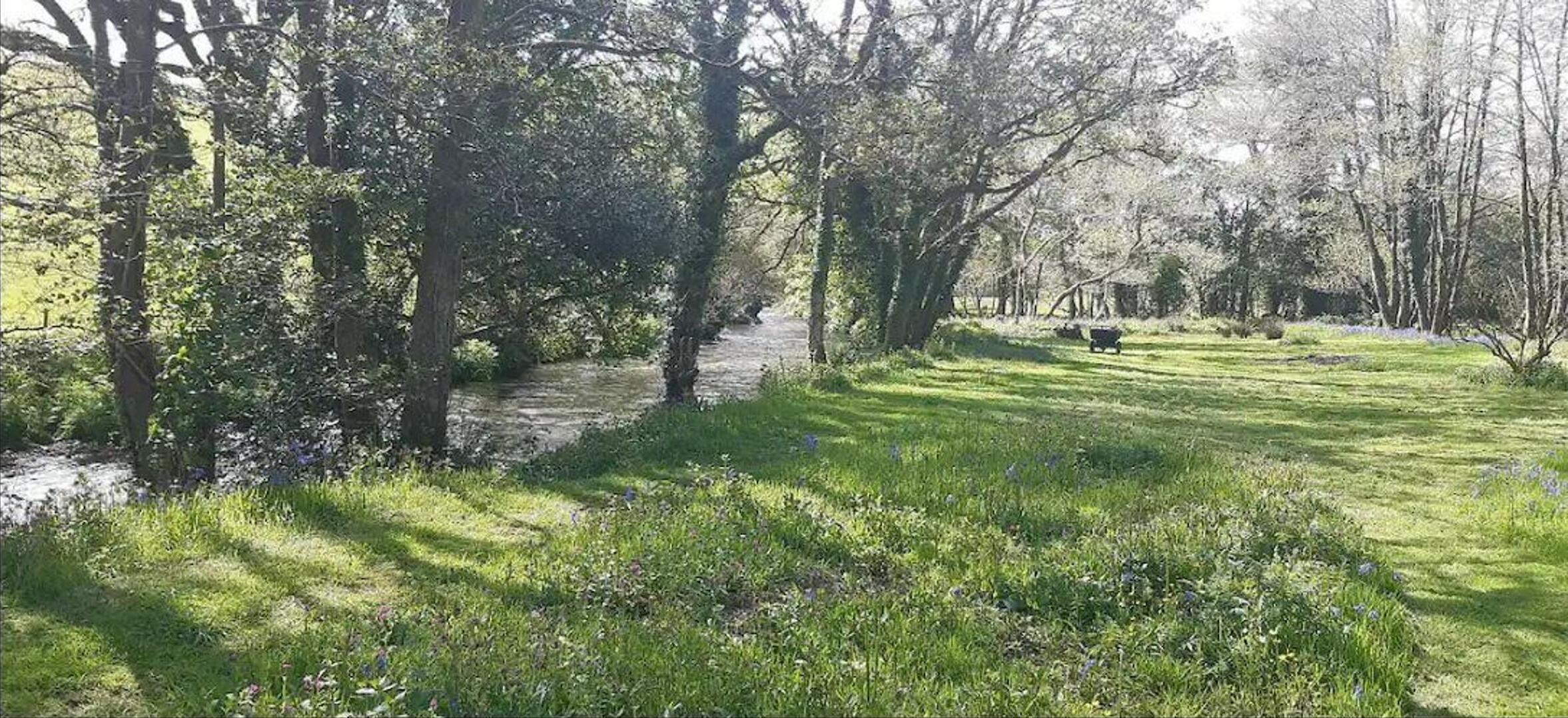 Une zone herbeuse avec des arbres et un sentier.