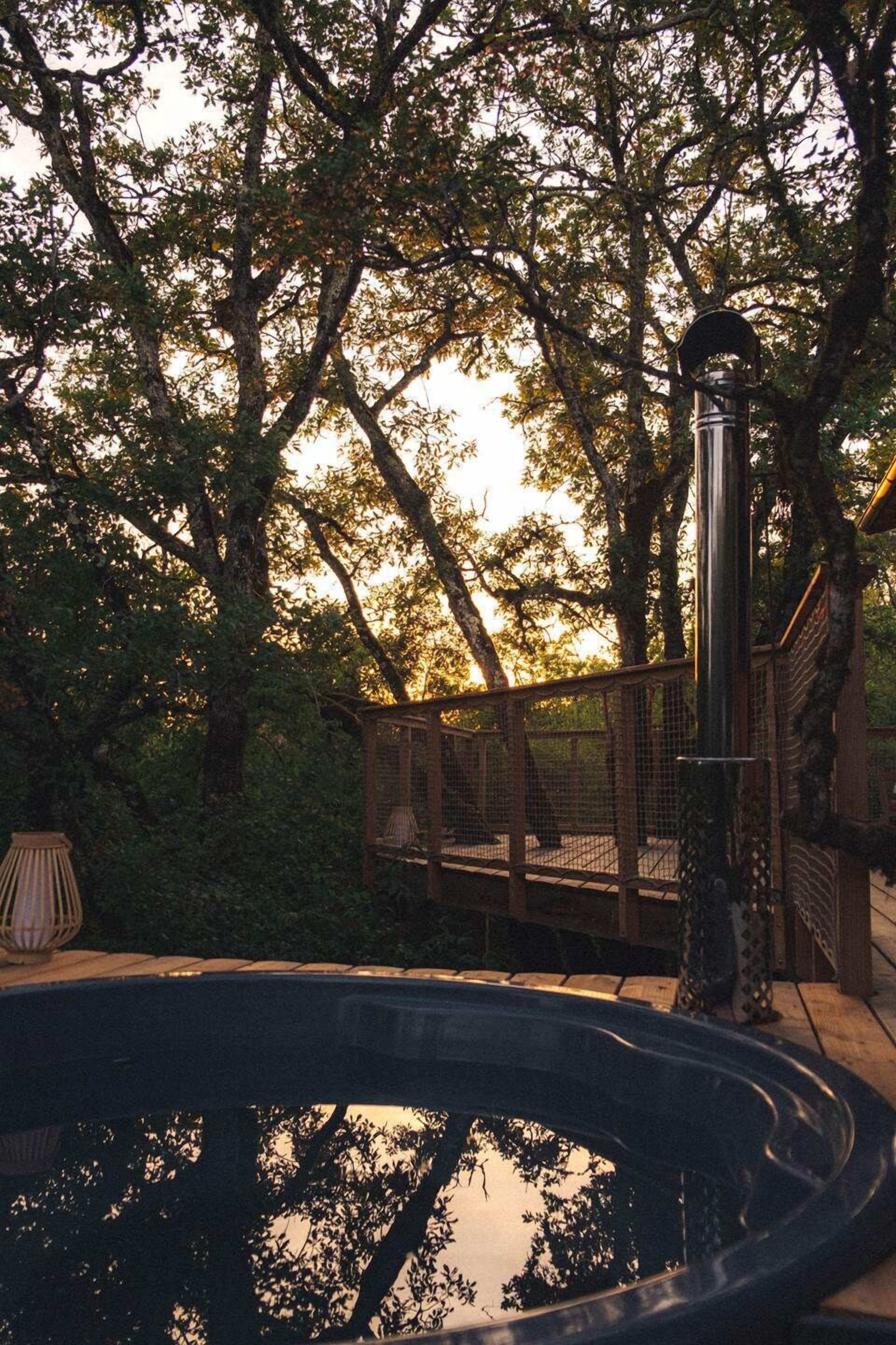 Une terrasse en bois avec une rambarde en métal, entourée d’arbres et bordée par un plan d’eau.