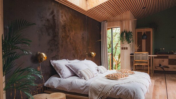 Une chambre à coucher avec un lit, des tables de chevet, une plante suspendue et une fenêtre.