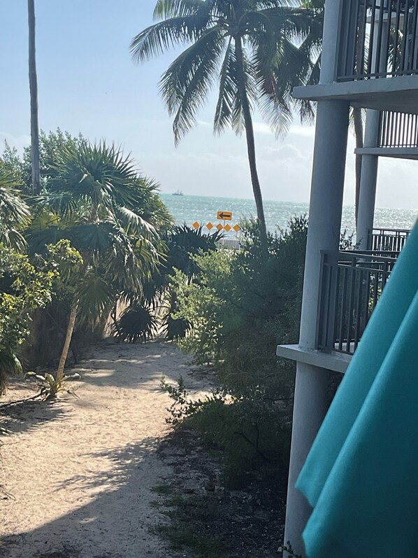 A beach view with palm trees and a sandy path leading to the ocean. - 1800 ATLANTIC  
2-bedroom condo with Particle Ocean view in Key West Florida (Key West)