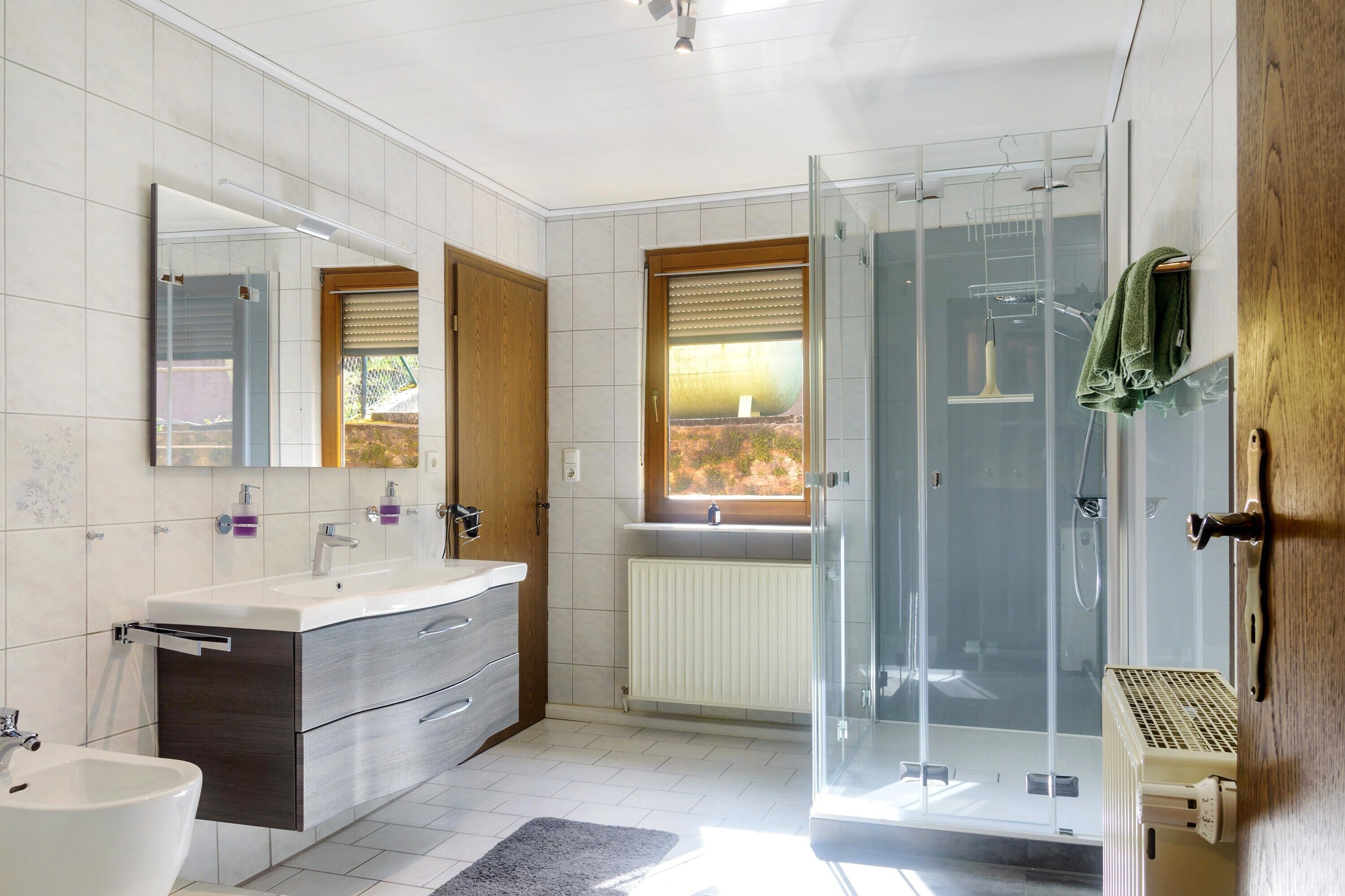 Shower, hair dryer, towels