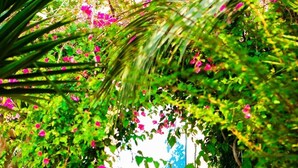 A staircase with colorful steps leading upwards, surrounded by greenery and flowers. - Seafront Casa Azul Villa - Getaway in Kalymnos (Mirties)