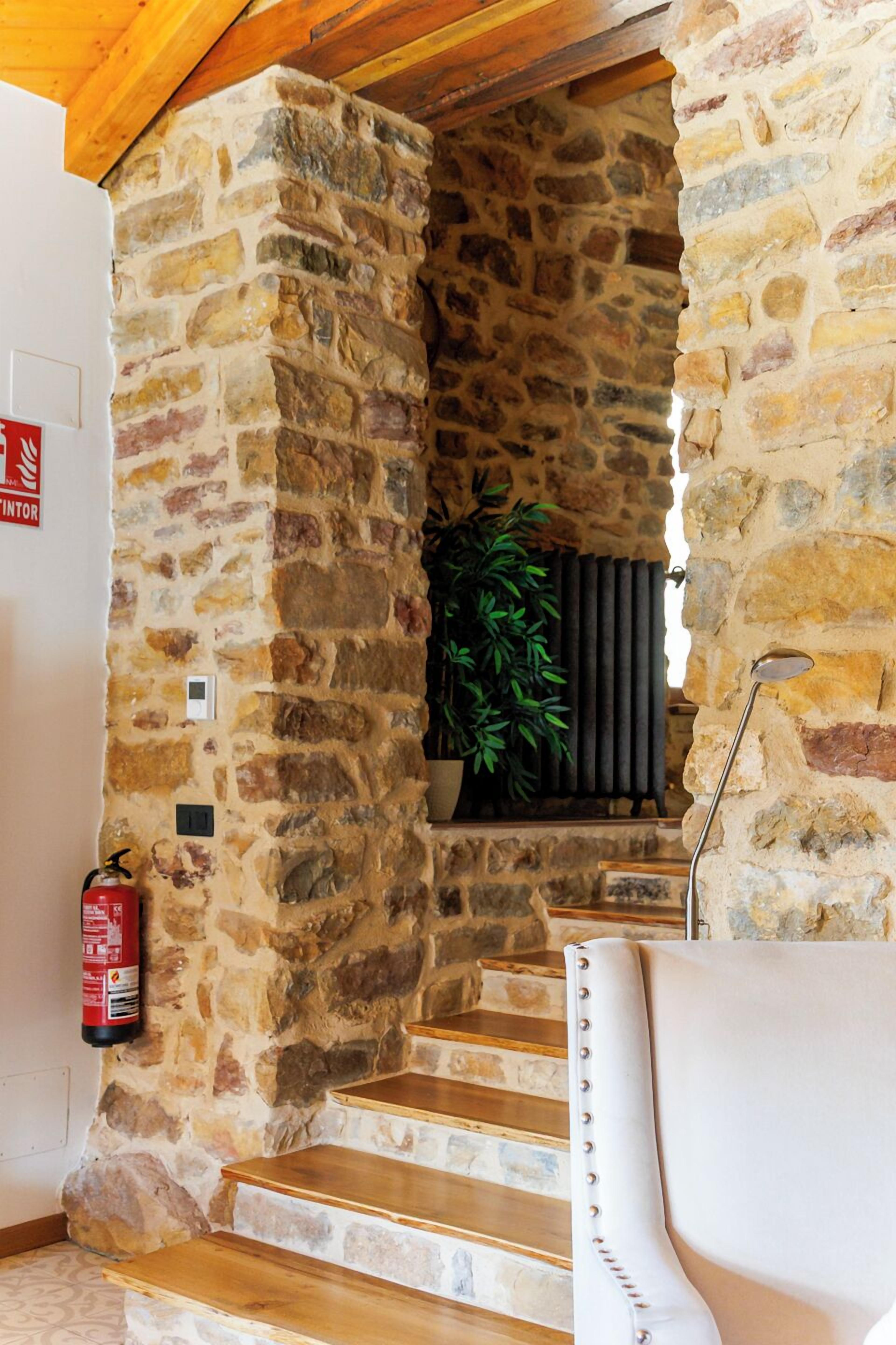 Una escalera de piedra que lleva a una puerta de madera, un extintor y una planta en maceta.