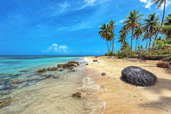Solsenger og strandhåndklær