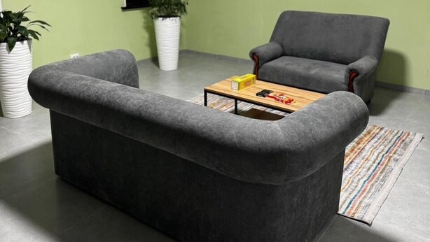 Un salon avec un canapé gris, une table basse en bois et un fauteuil gris. On y trouve une plante en pot et un tableau encadré accroché au mur.