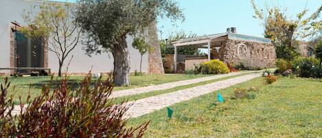 المنطقة المحيطة بالمنشأة