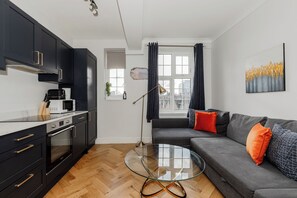 스탠다드 아파트, 시내 전망 | 전용 주방 | 대용량 냉장고, 전자레인지, 오븐, 쿡탑