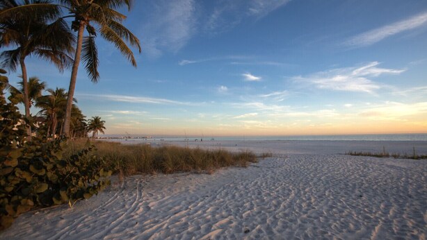 Een strand met zand, palmbomen en een heldere lucht.