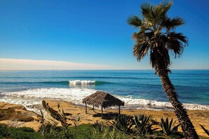 Beach nearby - The Sea & Sand - Ocean View La Jolla Condo (San Diego)