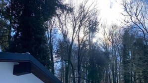 Een rij witte blokhutten met donkere daken, omringd door bomen en bedekt met sneeuw.