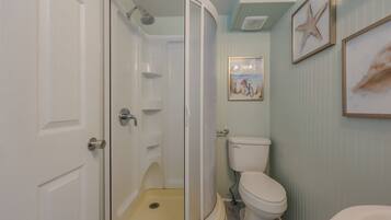 A bathroom with a walk-in shower, toilet, and sink.