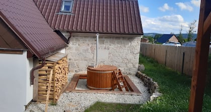 Chalet - Chalupa Andrea In the Ore Mountains - in the nature UNESCO - also at the ski lift