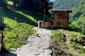 Property grounds - Holiday Home 'Les Trois Maisons - Gite Jaune' with Mountain View, Shared Pool and Wi-Fi (Osse-en-Aspe)