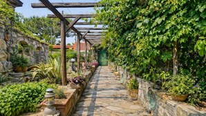 Un chemin de pierres bordé d’une végétation luxuriante et de plantes en pot, qui mène à une structure en forme de pergola en bois.