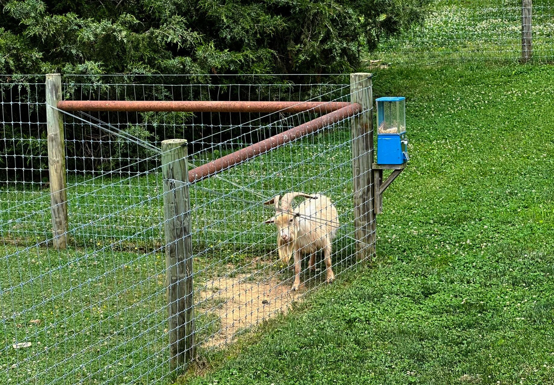 Terrein van de accommodatie