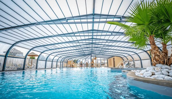 Une piscine intérieure dotée d’un toit en verre et bordée de palmiers.