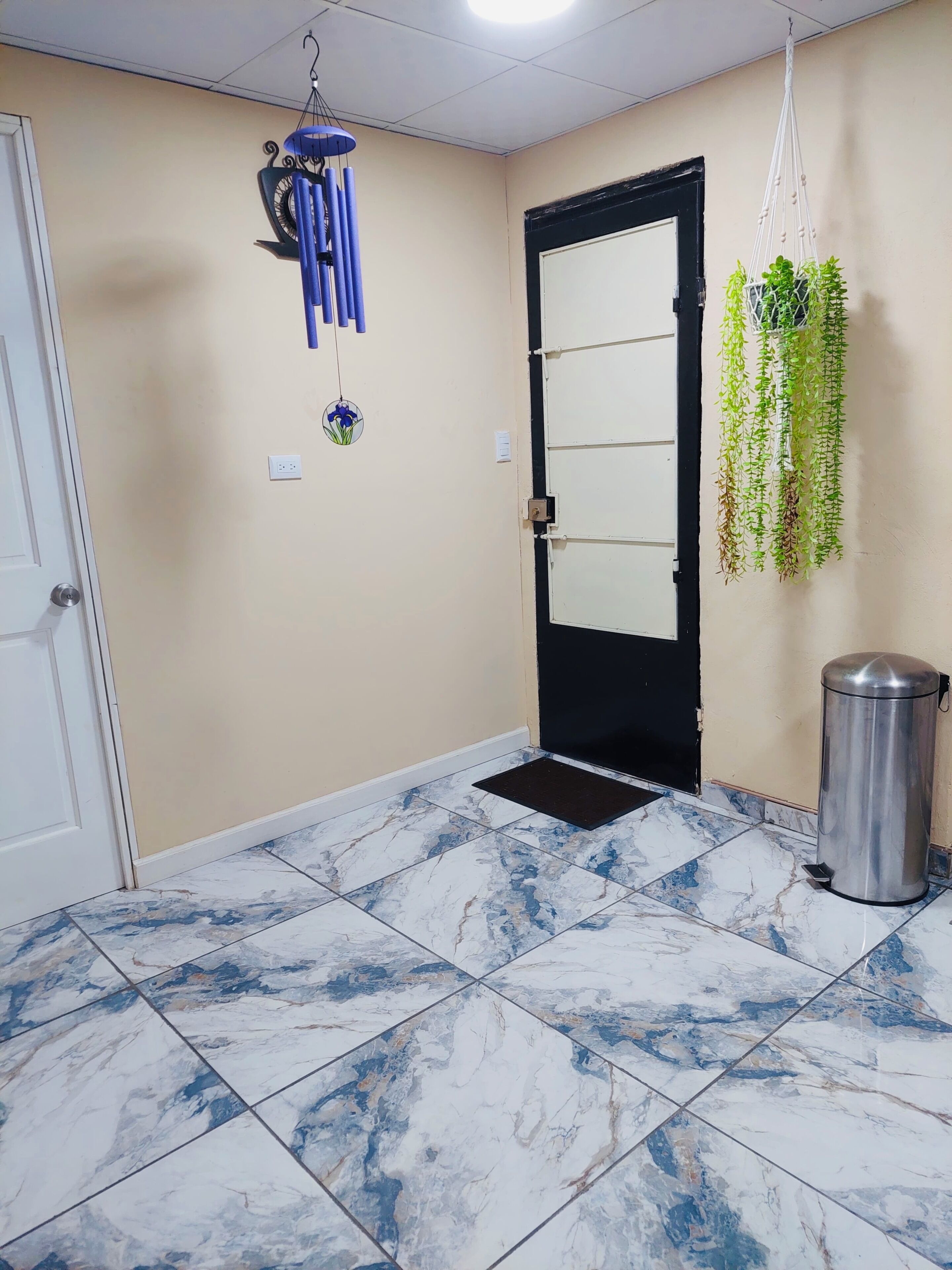 Un couloir avec une porte noire, une poubelle en métal, une plante suspendue et un sol carrelé de bleu et de blanc.