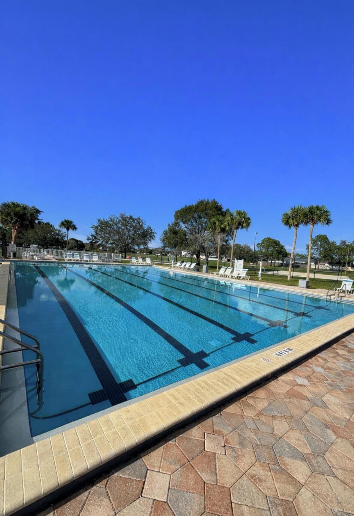 Une piscine à l’eau d’un bleu cristallin, entourée d’une terrasse carrelée et de palmiers.