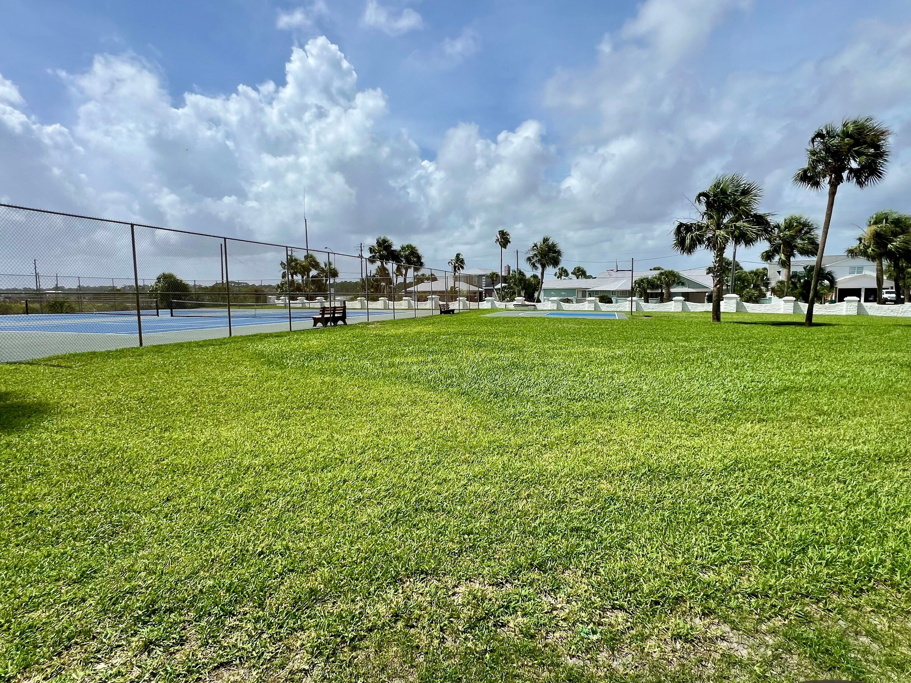 Una cancha de tenis con una cerca, un área verde y palmeras.