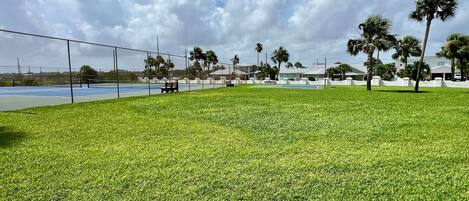 Una cancha de tenis con una cerca, un área verde y palmeras.