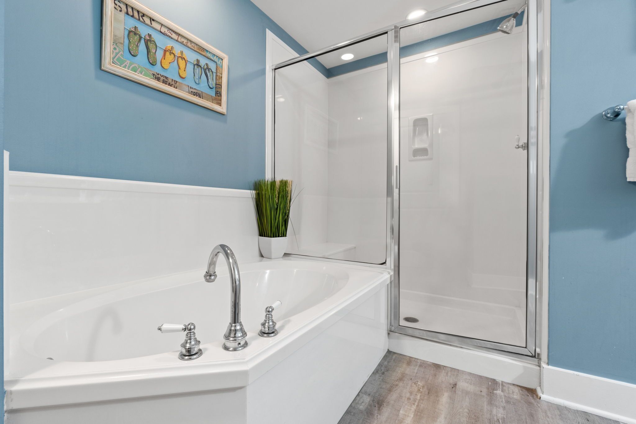 A bathroom with a bathtub, a shower, and a potted plant.