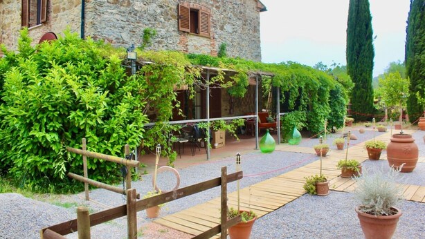 Een gebouw van steen met een houten terras, plantenpotten en een pergola begroeid met groen.