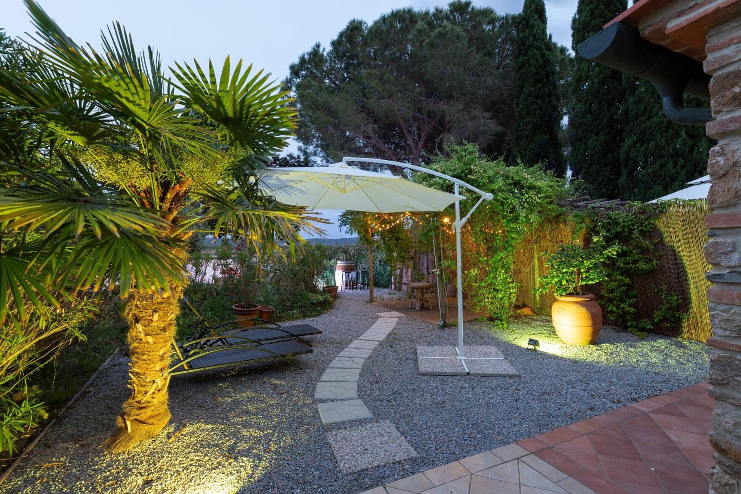 A garden with a pathway, a palm tree, a pergola, and a large planter.