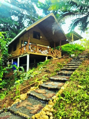 Property grounds - Cabaña selva tranquila, autosostenible, The Pause. Para 4 huespedes maximo (Bocas del Toro)