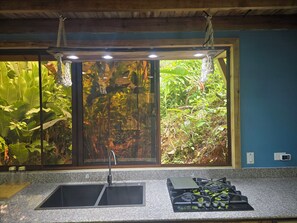 Nicht klassifiziertes Bild, 4 von 24, Schaltfläche