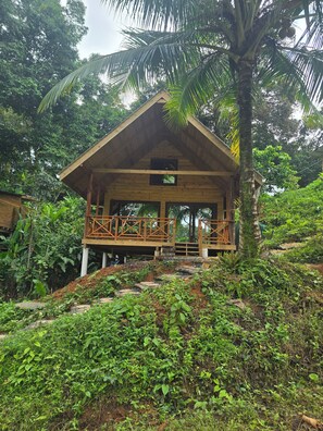 Nicht klassifiziertes Bild, 2 von 24, Schaltfläche