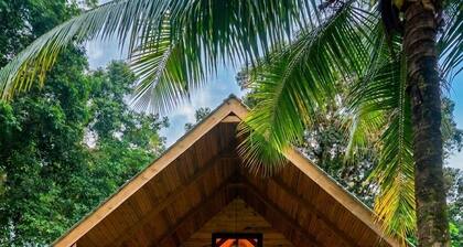 Cabaña selva tranquila, autosostenible, The Pause. Para 4 huespedes maximo