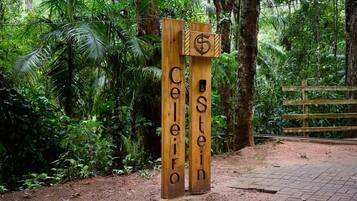 Casa, para fumantes | 1 quarto